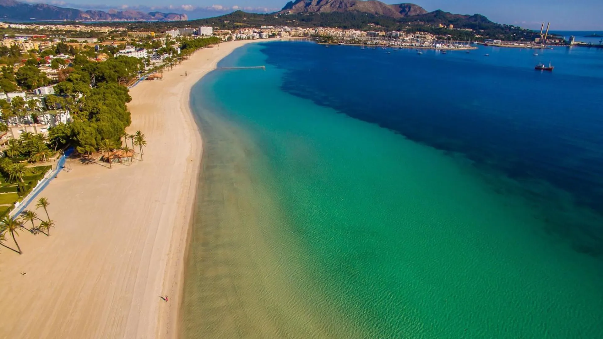Sea-View Apartment In Alcudia