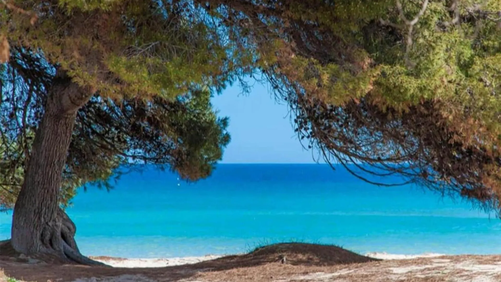 Sea-View Apartment In Alcudia スペイン
