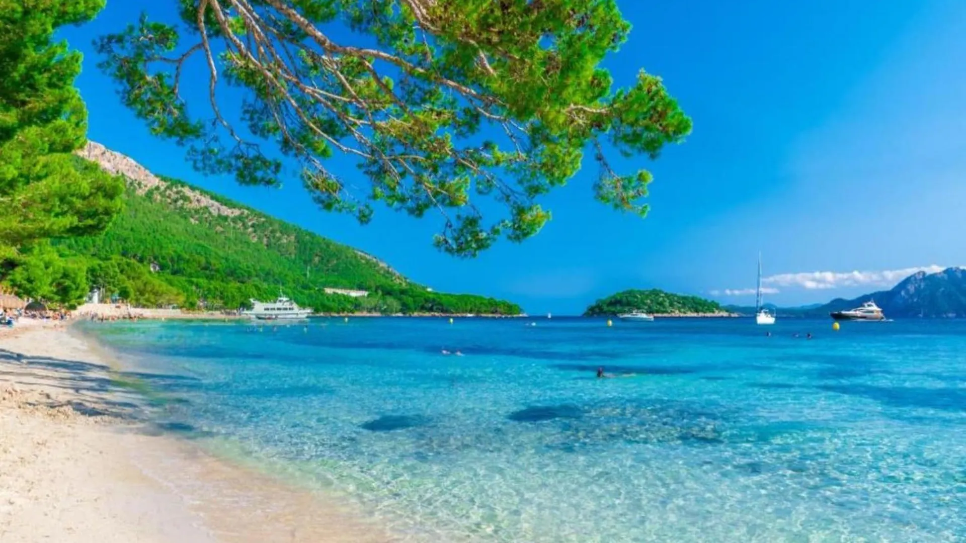 Sea-View Apartment In Alcudia  アルクディア